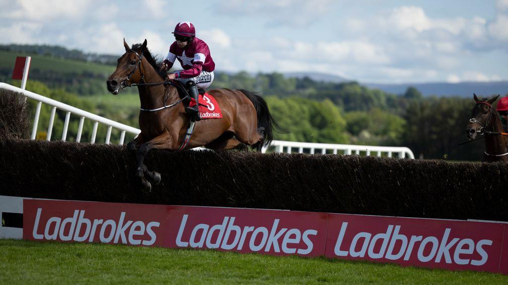 Fire Attack: ran out a decisive winner when last seen at Punchestown in May