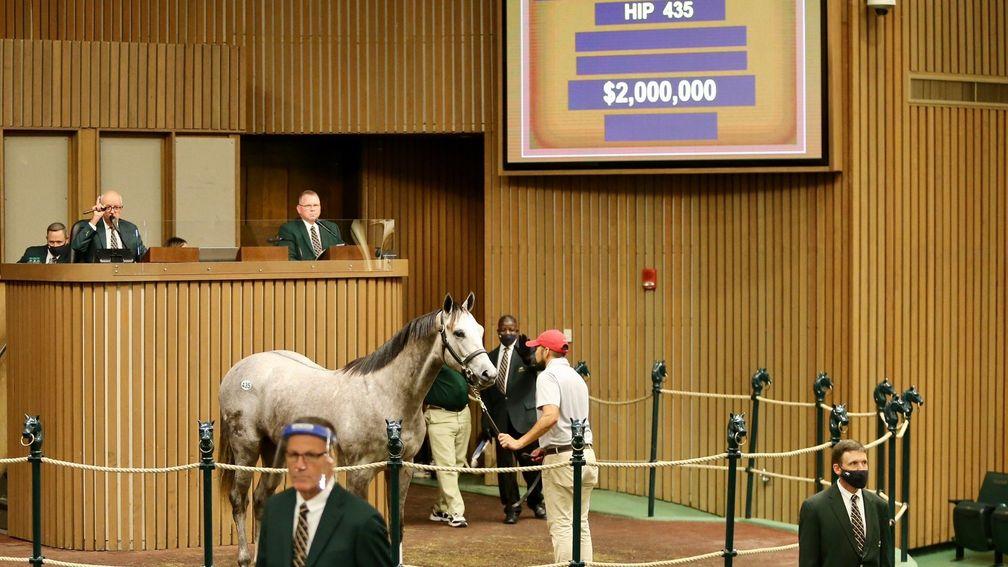 The Tapit colt out of Grade 1 winner Tara’s Tango who topped Book 1 at Keeneland