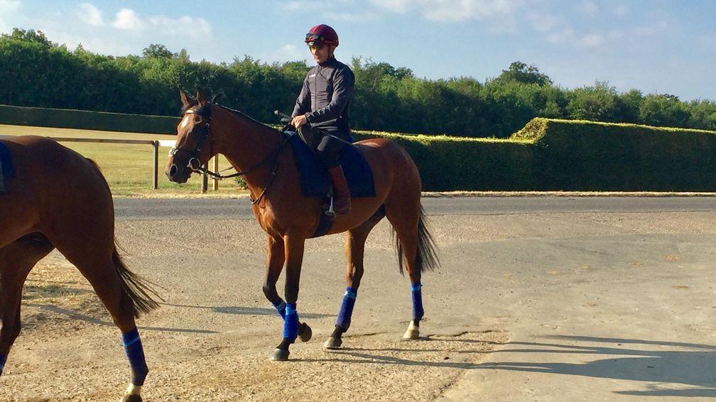 Andrea Atzeni partners his Sussex Stakes mount Without Parole on the gallops in Newmarket on Wednesday morning