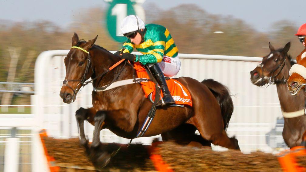 Buveur D'Air and Barry Geraghty on their way to success in the Contenders Hurdle