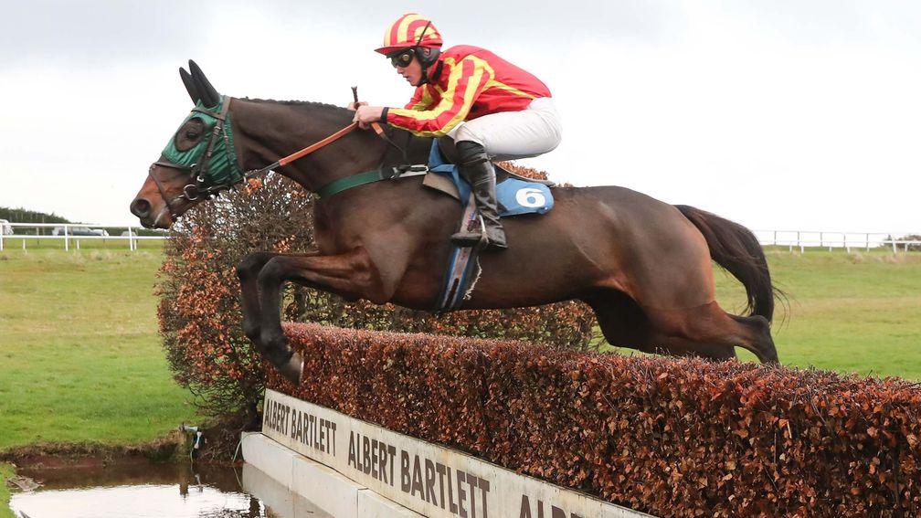 Top Ville Ben: the first horse to run after appearing at the Cheltenham Festival goes to post at Wetherby