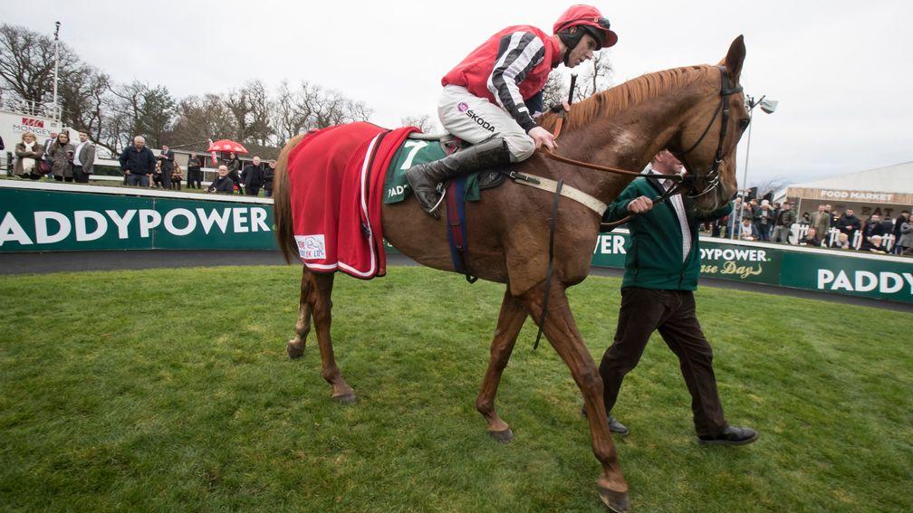 Simply Ned and Mark Walsh are led in after the horse's second Paddy Power Chase victory