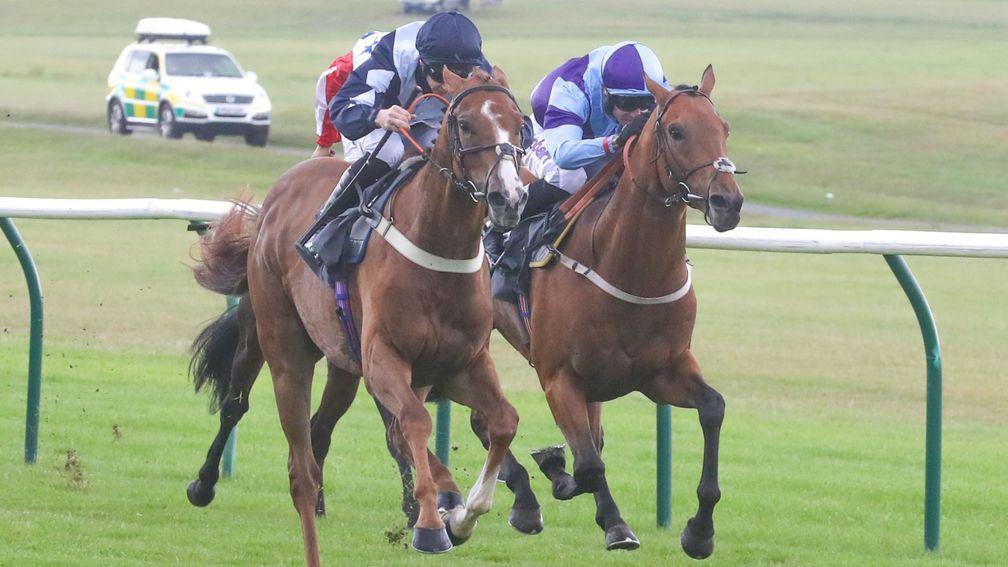 Glasses Up and Paddy Mathers winning at Ayr last month