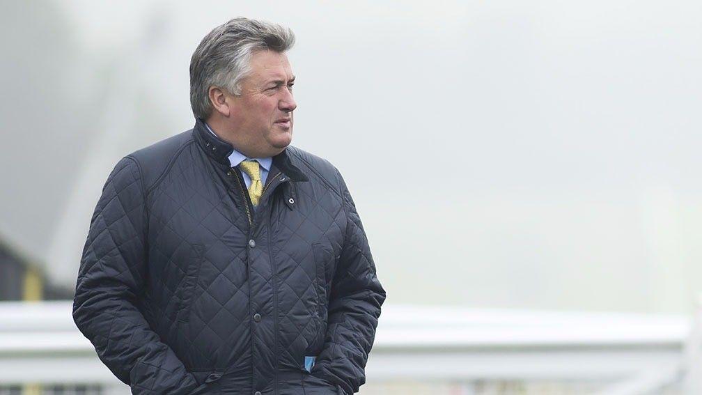 Paul Nicholls: 'In my opinion, the system we have in jumps racing is the right one'