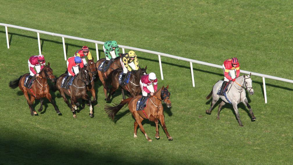 Vanillier (far side, leading): safely held by Fury Road and Run Wild Fred at Leopardstown last month