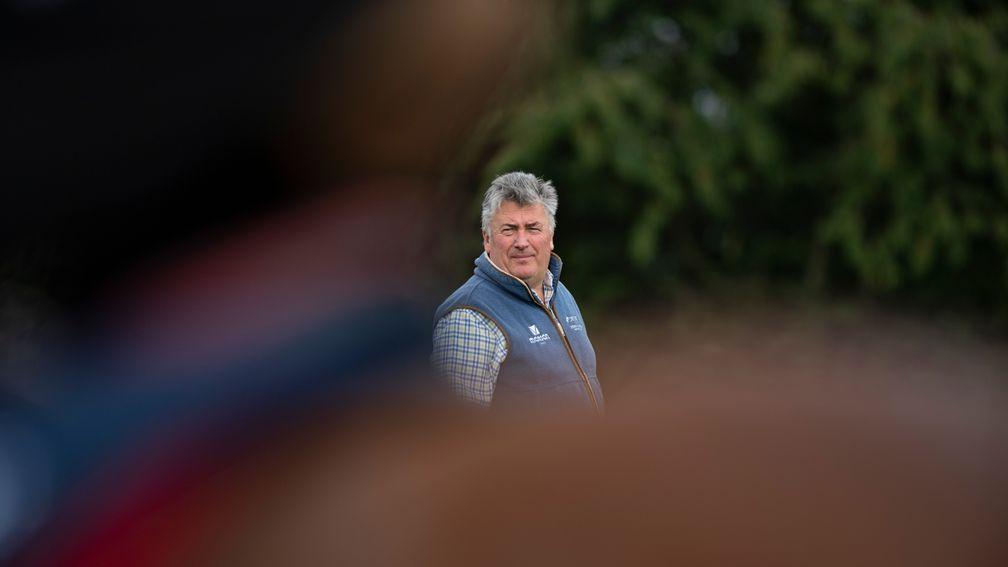 Paul Nicholls watches the horses at his Ditcheat base