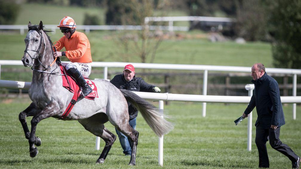 The enigmatic Labaik hoodwinks optimistic punters at the start at Punchestown