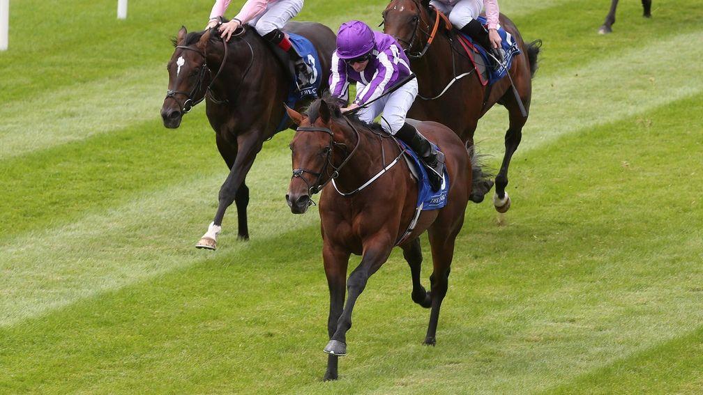 Mendelssohn, Scat daddy's $3 million sale-topper last year, is up and running with this recent success at the Curragh