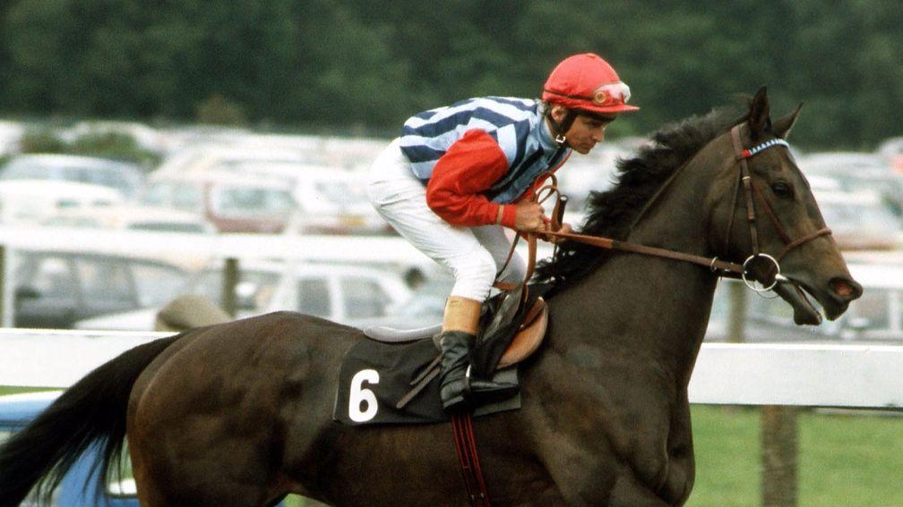 Dunlop's Habibti was one of the fastest ever fillies