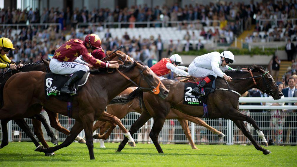 Asymmetric: son of Showcasing was continuing breeder Redpender Stud's fine run of form in the Richmond Stakes at Goodwood