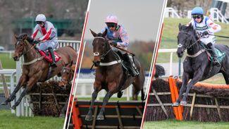Five horses who can book their ticket to Cheltenham with a win on Saturday