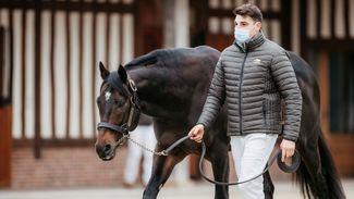 'People shunned him but the best is yet to come' -  lowdown on Al Shaqab aces