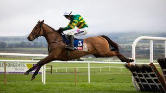 'He looks an ideal candidate' - connections on their Supreme Novices' Hurdle contenders
