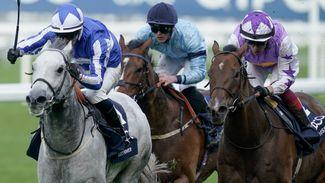 Luck is with Loki Lads at Ascot as team secures £24k Tote Ten to Follow prize