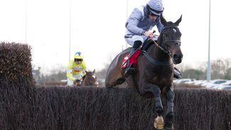 Il Est Francais 'ready to attack the spring' and given Cheltenham Festival novice chase entry