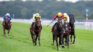 Doncaster: 'Very exciting' Iberian sparkles in Champagne to earn 25-1 quote for 2,000 Guineas