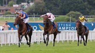 'Don't be surprised if he ends up in the Arc' - expert analysis of the Coral-Eclipse at Sandown