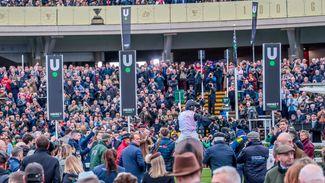 Nigel Tinkler: I don't get all the moaning - I've been going to the Cheltenham Festival for nearly 50 years and it's still brilliant