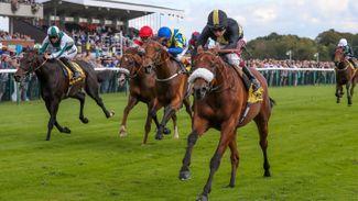 Andrew Balding confident Cesarewitch gamble Ranch Hand will see out longer trip