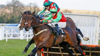 Le Patriote could be major player in Swinton Hurdle after Cheltenham win