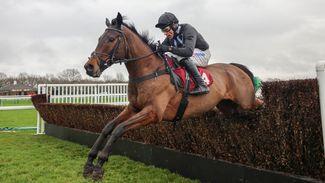 'He's the horse of a lifetime' - popular chaser Blaklion retired aged 14