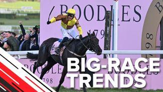 Big-race trends: key stats to help you find the Cheltenham Gold Cup winner