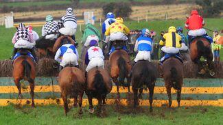 Decision to extend cut-off point for horses running on the track before spring point-to-points is having an effect
