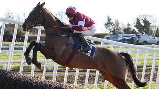 6.50 Limerick: 'He'll like the ground and is in good form' - Gordon Elliott's Favori De Champdou the class act in Grade 3 chase