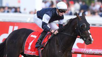 What the British and Irish are saying about their chances in the Melbourne Cup