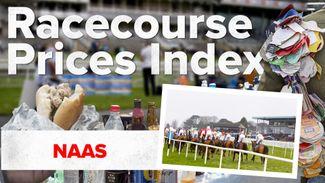 The Racecourse Prices Index: how much for food and drink at Naas?