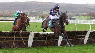 Dysart Enos and Golden Ace lined up for Cheltenham clash next week after missing Aintree