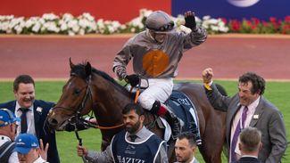 Abbaye hero A Case Of You heading to Drakenstein Stud in South Africa