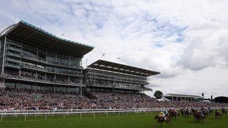 Average raceday attendance reveals the real state of play
