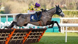 Tattersalls Ireland Novice Hurdle: 'He'll have to ride him like a racehorse in future' - Mullins miffed at Facile flop