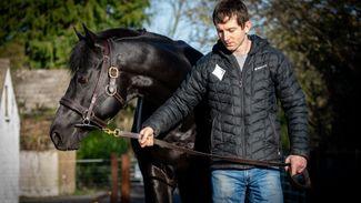 'We're grateful for the support from breeders' - Marie's Diamond has first mares scanned in foal