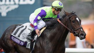 More Than ready to be called a great after Breeders' Cup brace