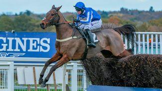 Rare British interest as Lorcan Williams and Ben Pauling prepare for Galway festival debuts