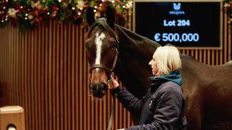 'One of the best mares we've ever bought at public auction' - €2 million Sibila Spain leads Newsells Park Stud's matings