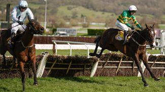 Triumph Hurdle: 'He will be some beast next season' - Willie Mullins dreaming big for Majborough