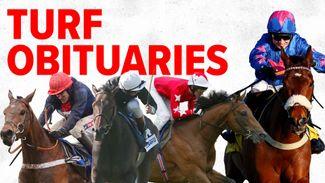 Champions Rock Of Gibraltar and Ouija Board among those we lost in 2022