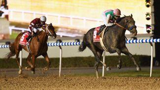 Runner-up's jockey keen for rematch with awesome Arrogate