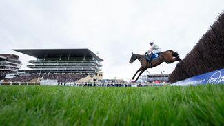 Formlines to follow: nine horses whose chances this week received a boost on day one of the Cheltenham Festival