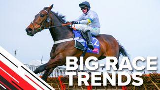 Big-race trends: key stats to help you find the Champion Hurdle winner