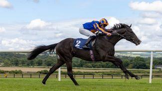 O'Brien keeping Derby faith in Auguste Rodin as Guineas flop set to be joined by just two outsiders at Epsom