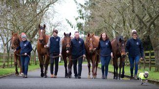 Catching up with Hurricane Fly, Kicking King and co at the Irish National Stud