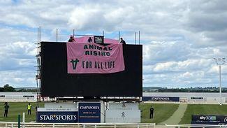 Animal Rising supporters scale Towcester big screen ahead of Greyhound Derby final meeting