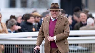 Triumph Hurdle favourite Sir Gino and Albert Bartlett hope Shanagh Bob ruled out of the Cheltenham Festival by Nicky Henderson