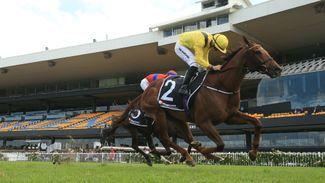 Addeybb must pass veterinary inspection before Ranvet Stakes defence