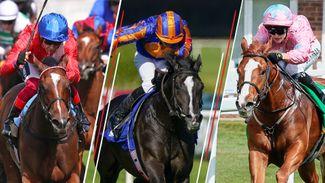 Should you back or avoid these four favourites at the Breeders' Cup on Saturday?