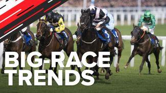 Big-race trends: stats to help narrow down the field in the Cheltenham handicaps